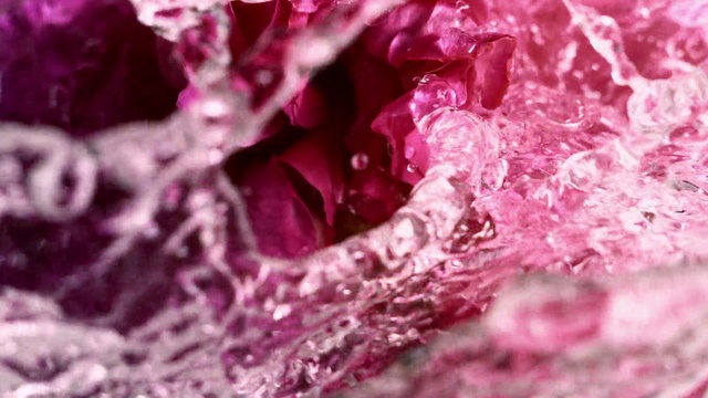 Video Reference: Liquid, Petal, Purple, Ingredient, Pink, Violet, Cuisine, Magenta, Dish, Close-up