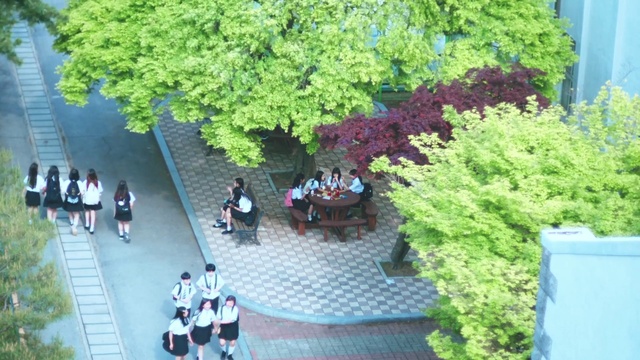 Video Reference: Plant, Green, Botany, Tree, Urban design, Grass, Biome, Groundcover, Leisure, Shrub