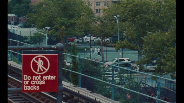 Video Reference: Plant, Building, Street light, Window, Tree, Vehicle, Motor vehicle, Urban design, Metropolitan area, City