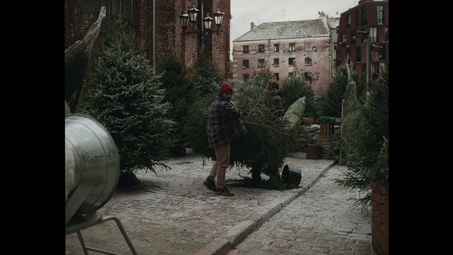 Video Reference: Plant, Building, Window, Road surface, Tints and shades, Road, Flooring, Monochrome, Tree, City