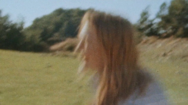 Video Reference: Sky, Liver, Mammal, Horse, Fawn, Grass, Landscape, Grassland, Wood, Plant