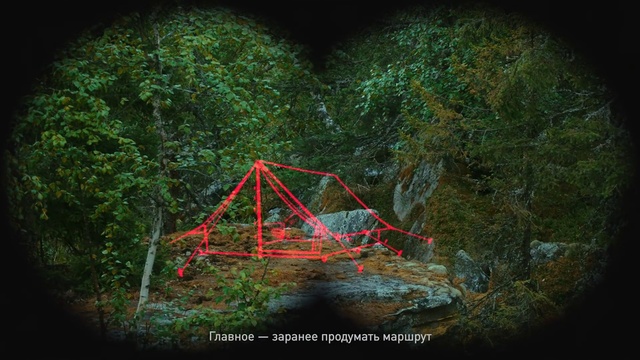 Video Reference: Plant, Natural landscape, Terrestrial plant, Slope, Font, Triangle, Grass, Landscape, People in nature, Forest