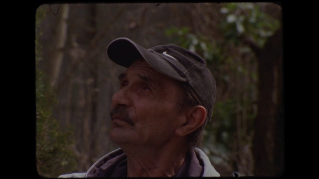 Video Reference: Cricket cap, Cap, Flash photography, Baseball cap, Eyewear, Tree, Darkness, Wrinkle, Recreation, Portrait photography