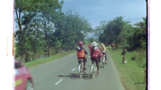 Video Reference: Bicycle, Tire, Bicycles--Equipment and supplies, Wheel, Bicycle wheel, Plant, Sky, Bicycle frame, Sports equipment, Bicycle handlebar