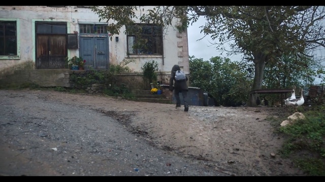 Video Reference: Plant, Window, Building, Road surface, Land lot, Tree, Asphalt, House, Grass, Landscape