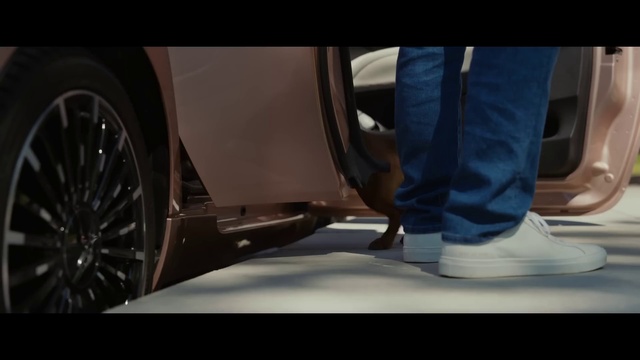 Video Reference: Wheel, Tire, Automotive tire, Hood, Vehicle, Automotive design, Tread, Car, Automotive lighting, Automotive exterior