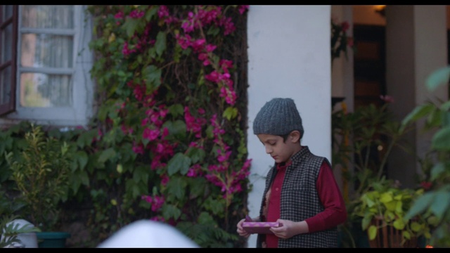 Video Reference: Plant, Window, Pink, Magenta, Flower, Petal, Grass, Leisure, Cap, Garden