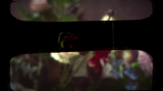 Video Reference: Head, Eye, Automotive lighting, Vision care, Organism, Eyelash, Terrestrial plant, Goggles, Grass, Eyewear