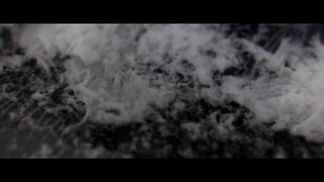 Video Reference: Water, Cloud, Natural landscape, Grey, Black-and-white, Grass, Font, Twig, Plant, Cumulus