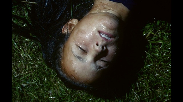 Video Reference: Lip, Eyelash, Jaw, Plant, People in nature, Grass, Flash photography, Happy, Fawn, Headgear