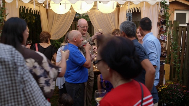 Video Reference: Plant, Curtain, Interaction, Social group, Leisure, Adaptation, Crowd, T-shirt, Event, Fun