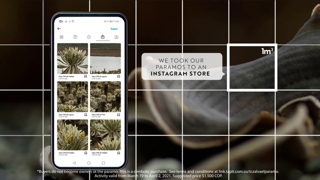 Video Reference: Plant, Organism, Font, Terrestrial plant, Adaptation, Rectangle, Screenshot, Tree, Communication Device, Slope