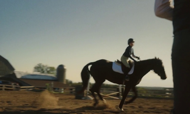 Video Reference: Horse, Sky, Equestrian helmet, English pleasure, Working animal, Bit, Horse tack, Horse supplies, Saddle, English riding