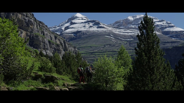 Video Reference: Mountain, Plant, Sky, Snow, Natural landscape, Larch, Highland, Slope, Tree, Terrain