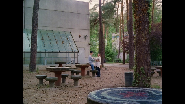 Video Reference: Plant, Tree, Shade, Wood, Building, Table, Leisure, Outdoor furniture, Flooring, Landscape