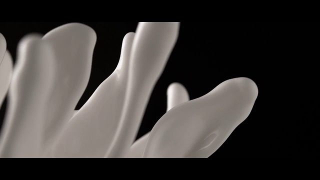 Video Reference: Flash photography, Gesture, Art, Plant, Petal, Font, Monochrome photography, Darkness, Monochrome, Human leg