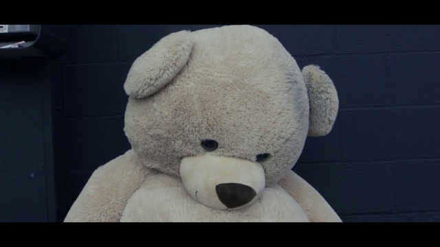 Video Reference: Toy, Teddy bear, Terrestrial animal, Stuffed toy, Snout, Plush, Tints and shades, Fur, Still life photography, Carmine