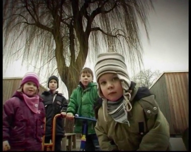 Video Reference: Outerwear, Tree, Happy, Jacket, Fun, Adaptation, Smile, Travel, Leisure, Flash photography