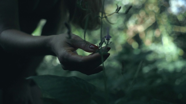 Video Reference: Hand, Flash photography, Gesture, Plant, Finger, People in nature, Twig, Tints and shades, Grass, Nail