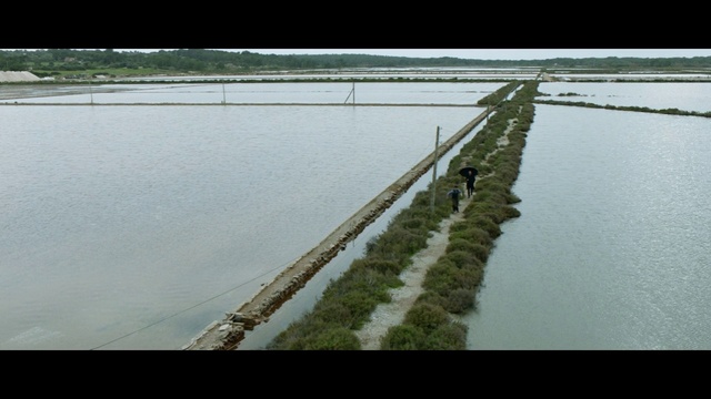 Video Reference: Water, Water resources, Plant, Natural landscape, Liquid, Lake, Watercourse, Fluvial landforms of streams, Bank, Landscape