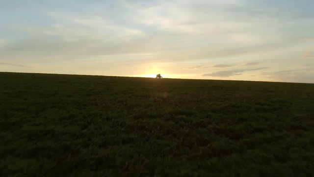 Video Reference: Cloud, Sky, Natural landscape, Plant, Tree, Dusk, Grassland, Sunrise, Meadow, Sun