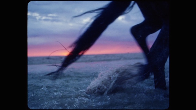 Video Reference: Water, Cloud, Sky, Nature, People in nature, Red sky at morning, Natural landscape, Dusk, Art, Sunrise
