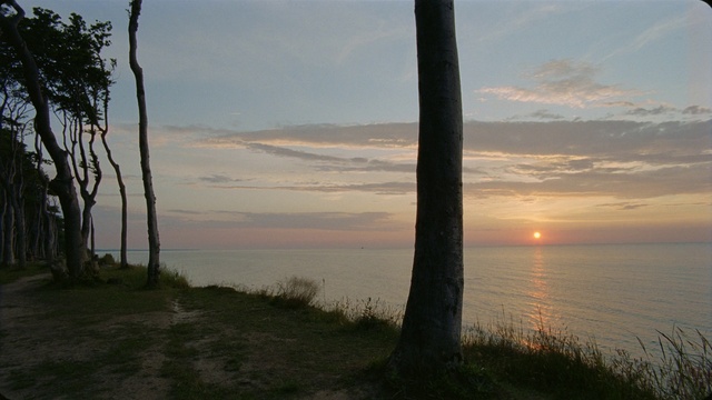 Video Reference: Cloud, Water, Sky, Plant, Natural landscape, Afterglow, Tree, Wood, Dusk, Body of water