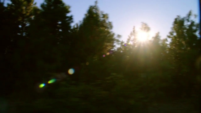 Video Reference: Sky, Cloud, Plant, Natural landscape, Tree, Atmospheric phenomenon, Evergreen, Larch, Astronomical object, Grass