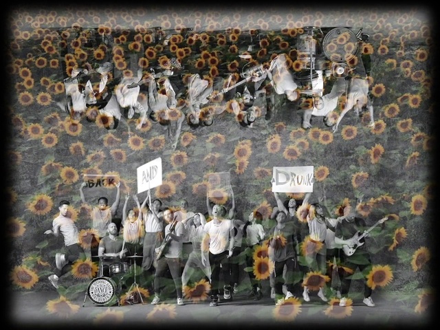 Video Reference: Orange, Musical instrument, Art, Font, Wall, Plant, Space, Tree, Event, Visual arts
