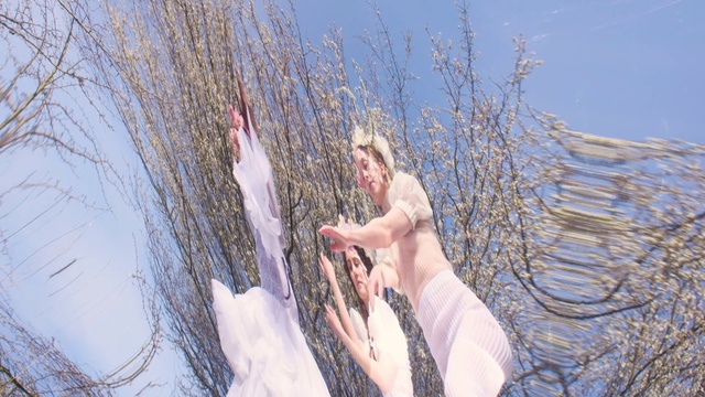 Video Reference: Hand, Plant, Leg, People in nature, Sky, Human body, Flash photography, Branch, Gesture, Dress