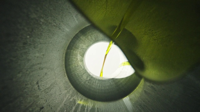 Video Reference: Plant, Eye, Human body, Iris, Musical instrument, Petal, Terrestrial plant, Tints and shades, Circle, Grass