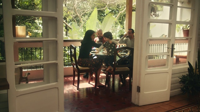 Video Reference: Plant, Table, Sunlight, Chair, Wood, Leisure, Building, Shade, Window, Hardwood
