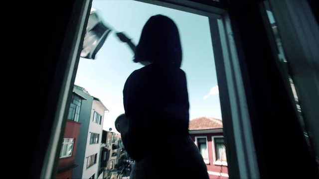 Video Reference: Window, Sky, Fixture, Building, Tints and shades, Tree, Backlighting, Darkness, Glass, Plant