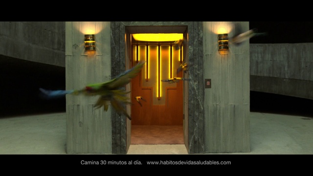 Video Reference: Fixture, Door, Wall, Parrot, Rectangle, Building, Art, Darkness, Composite material, Facade