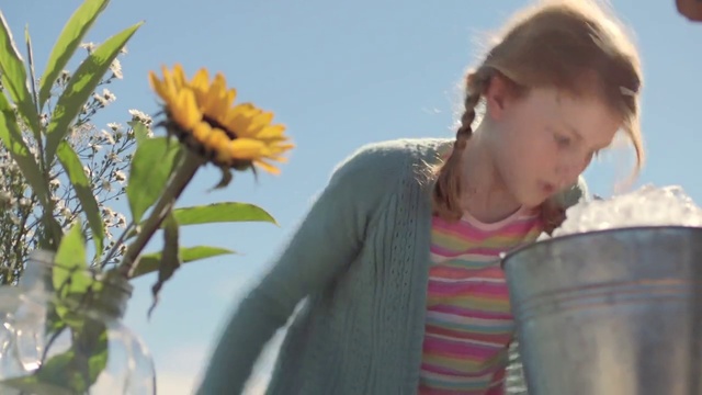 Video Reference: Plant, Flower, Sky, People in nature, Happy, Sunlight, Petal, Summer, Fun, Tree