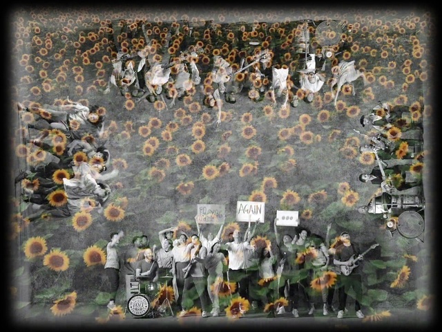 Video Reference: Textile, Font, Rectangle, Art, Musical instrument, Urban design, Grass, Visual arts, Pattern, Event