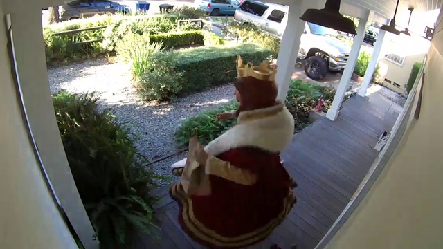 Video Reference: Plant, Flowerpot, Houseplant, Wood, Chair, Carnivore, Felidae, Fawn, Grass, Wheel