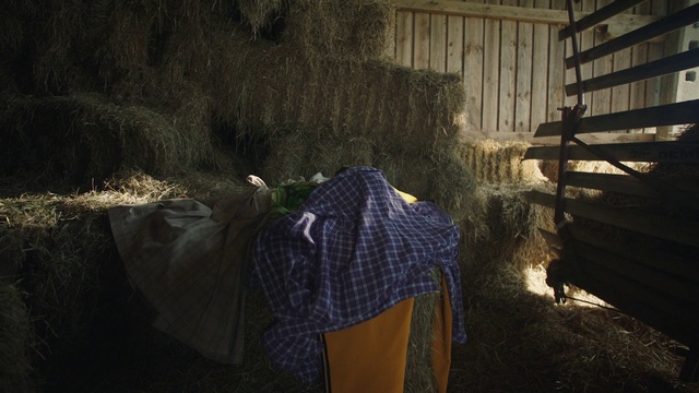 Video Reference: Water, Plant, Wood, Grass, Flash photography, Sunlight, Tints and shades, Landscape, Darkness, Personal protective equipment