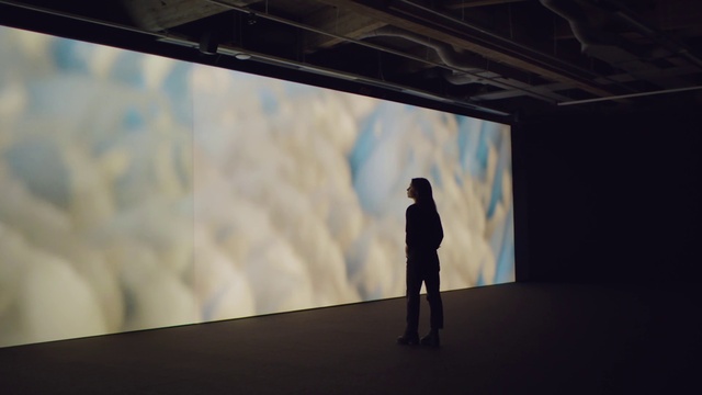 Video Reference: Cloud, Sky, Art, Tints and shades, Tree, Event, Visual arts, Darkness, Backlighting, Landscape