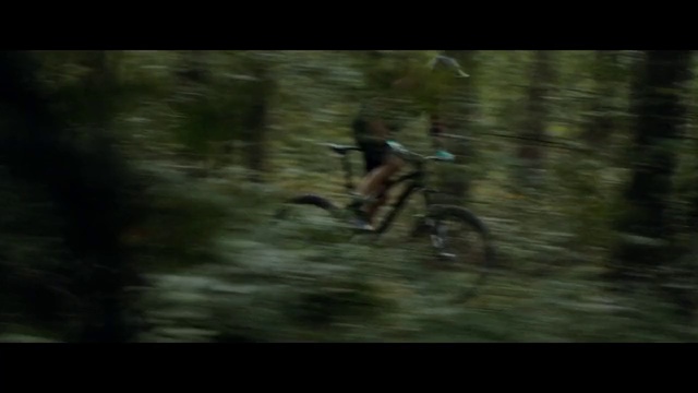 Video Reference: Bicycle, Tire, Wheel, Bicycle wheel, Bicycle frame, Bicycle handlebar, Sports equipment, Helmet, Tree, Wood