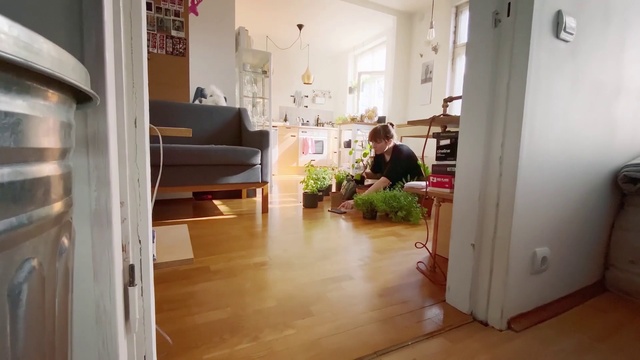 Video Reference: Couch, Picture frame, Comfort, Houseplant, Building, Wood, Floor, Flooring, Interior design, Chair