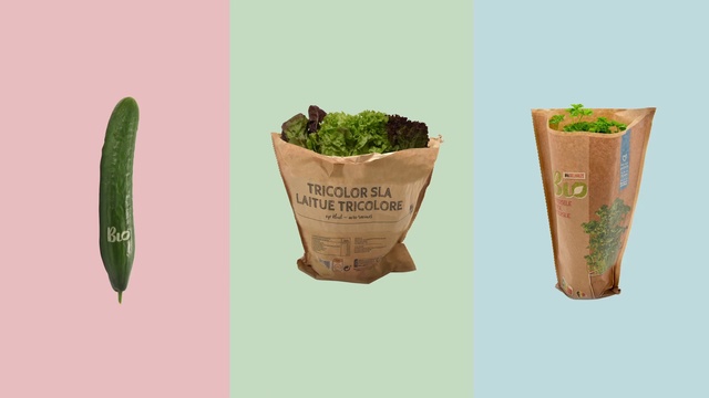 Video Reference: Plant, Flowerpot, Green, Houseplant, Terrestrial plant, Tree, Font, Grass, Grass family, Flower