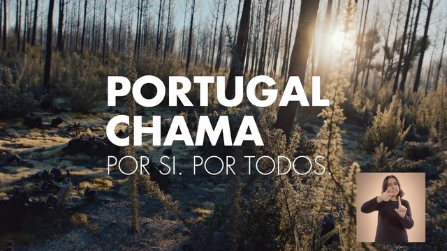 Video Reference: Plant, Tree, Wood, Natural landscape, People in nature, Branch, Sky, Flash photography, Happy, Sunlight