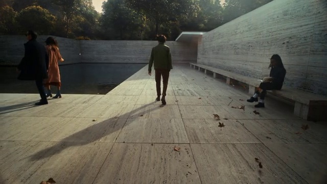 Video Reference: Road surface, Tree, Wood, Sunlight, Asphalt, Flooring, Sidewalk, Leisure, Tints and shades, City