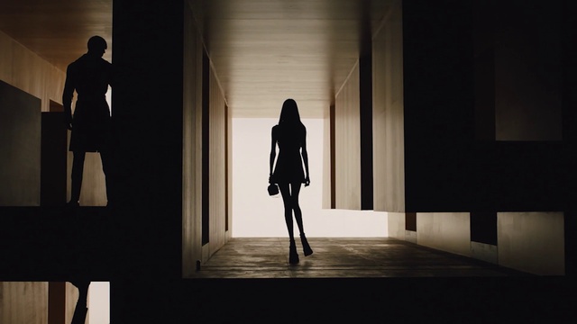 Video Reference: Flash photography, Standing, Art, Tints and shades, Symmetry, Human leg, Monochrome, Backlighting, Door, Fashion design