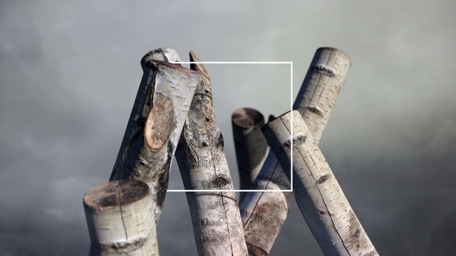 Video Reference: Wood, Gesture, Twig, Art, Trunk, Sky, Metal, Water, Cloud, Pipe