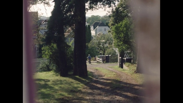 Video Reference: Plant, Building, Branch, Tree, Natural landscape, Vegetation, Land lot, Shade, Sunlight, Grass