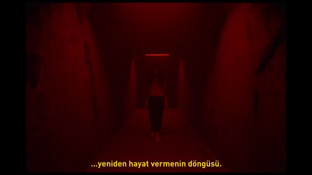 Video Reference: Magenta, Tints and shades, Art, Symmetry, Font, Darkness, Flash photography, Human leg, Carmine, Room