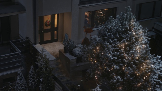 Video Reference: Christmas tree, Plant, Window, Branch, Christmas ornament, Architecture, Interior design, Ornament, Freezing, Twig
