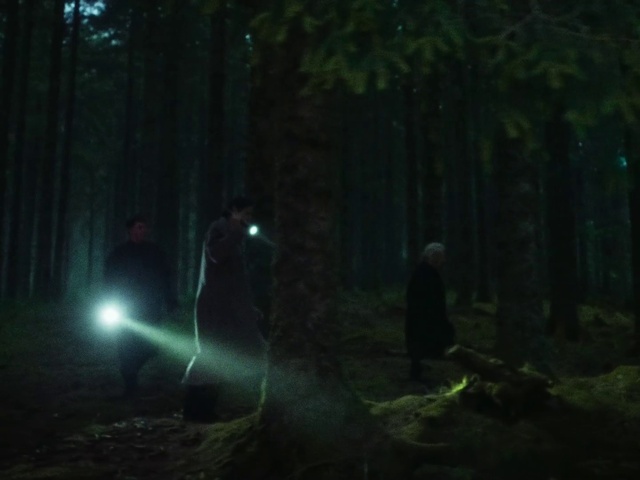 Video Reference: Plant, Terrestrial plant, Wood, Trunk, Natural landscape, Tree, Street light, Grass, Midnight, Landscape